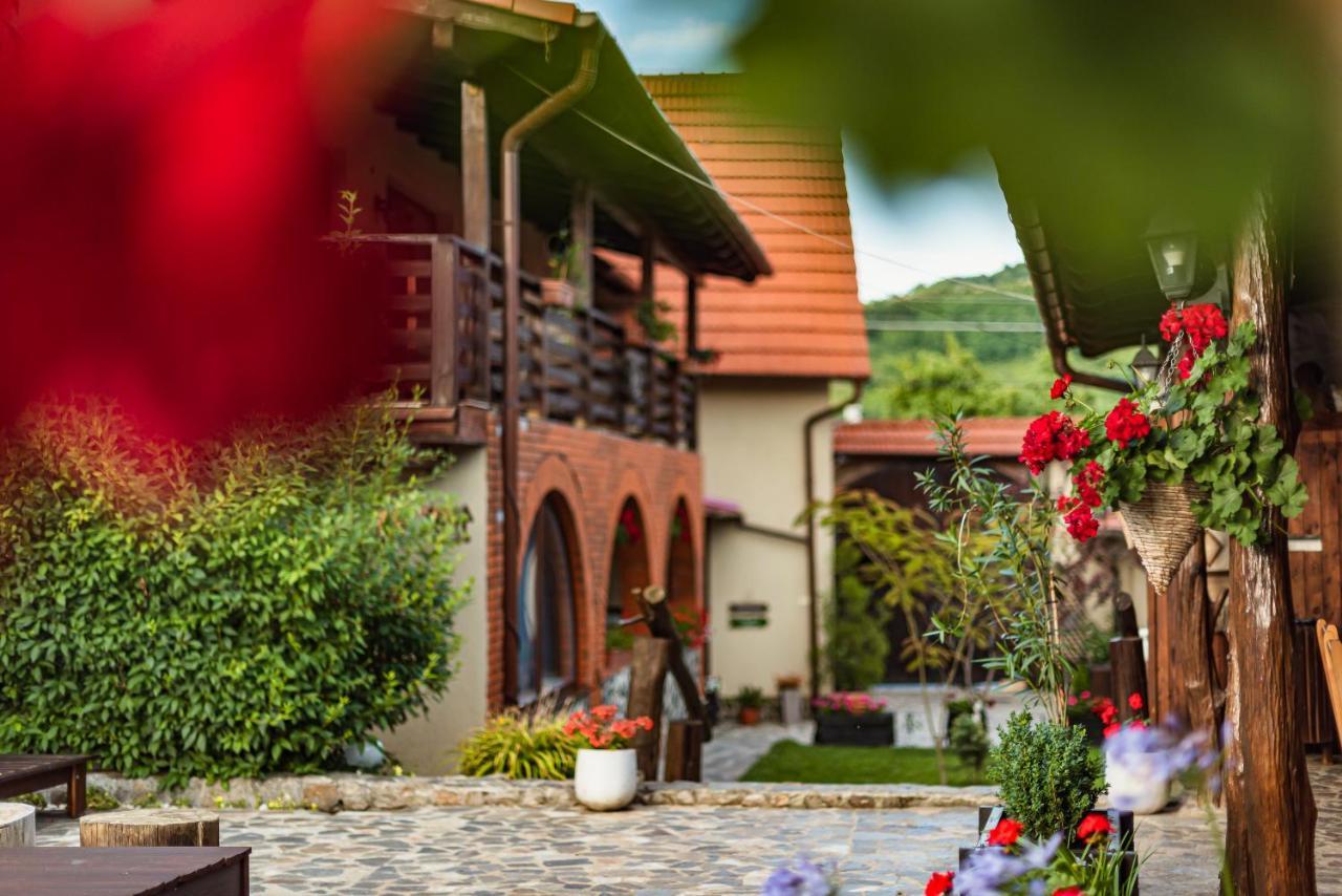 Gasthof Casa Dives - Transylvania Pianu de Sus