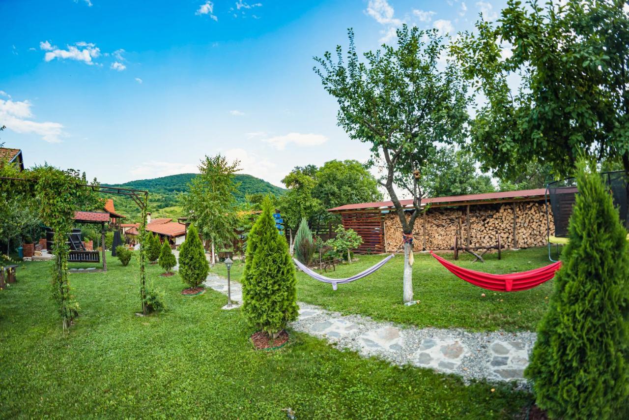 Gasthof Casa Dives - Transylvania